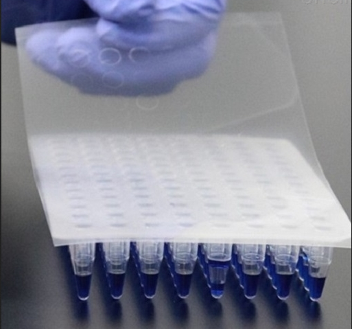 Ingenuitech PCR封板膜 壓敏、透明